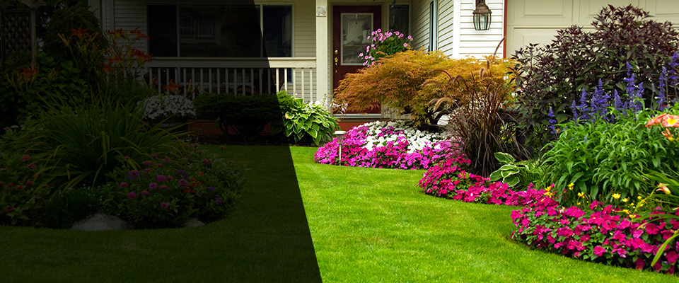Mamou Landscapers