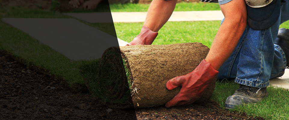 Mamou Landscapers